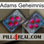 Adams Secret 15